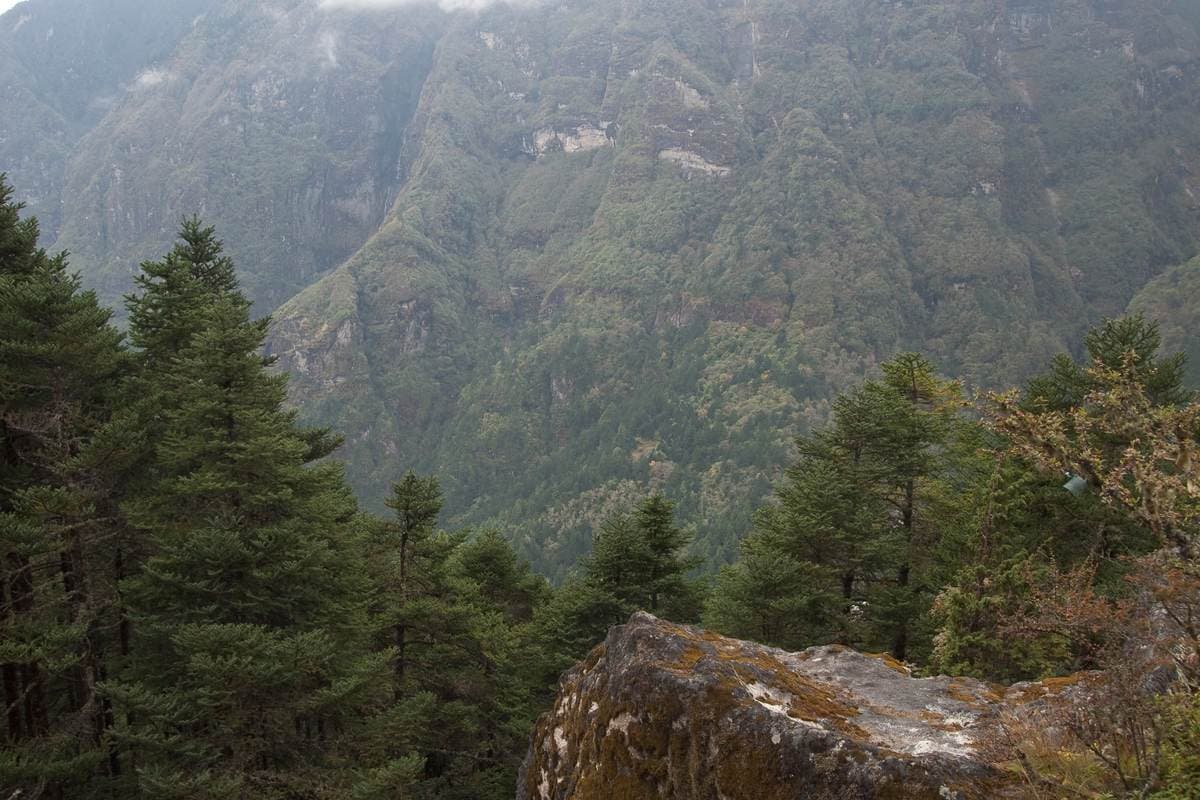 Bhote Koshi Bungee Jump