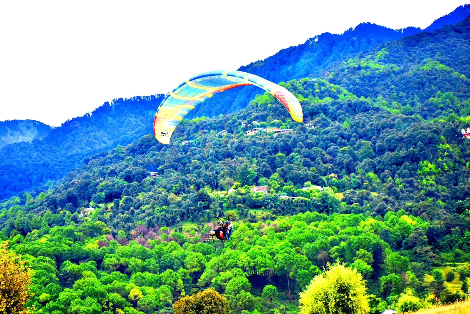 Bir-Billing Tandem Paragliding