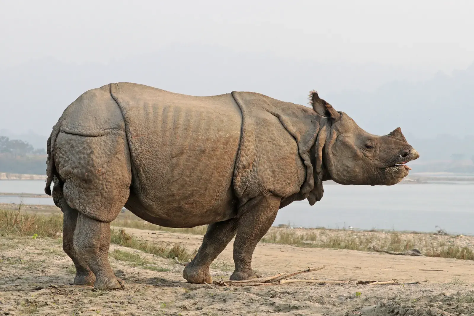 Chitwan + Lumbini Heritage