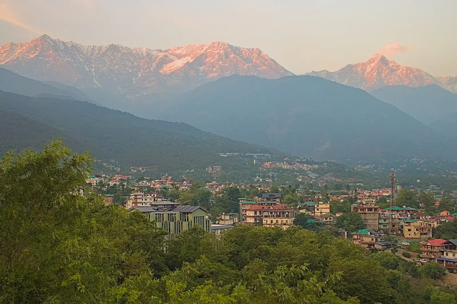 Osho Himalayas Heart Festival