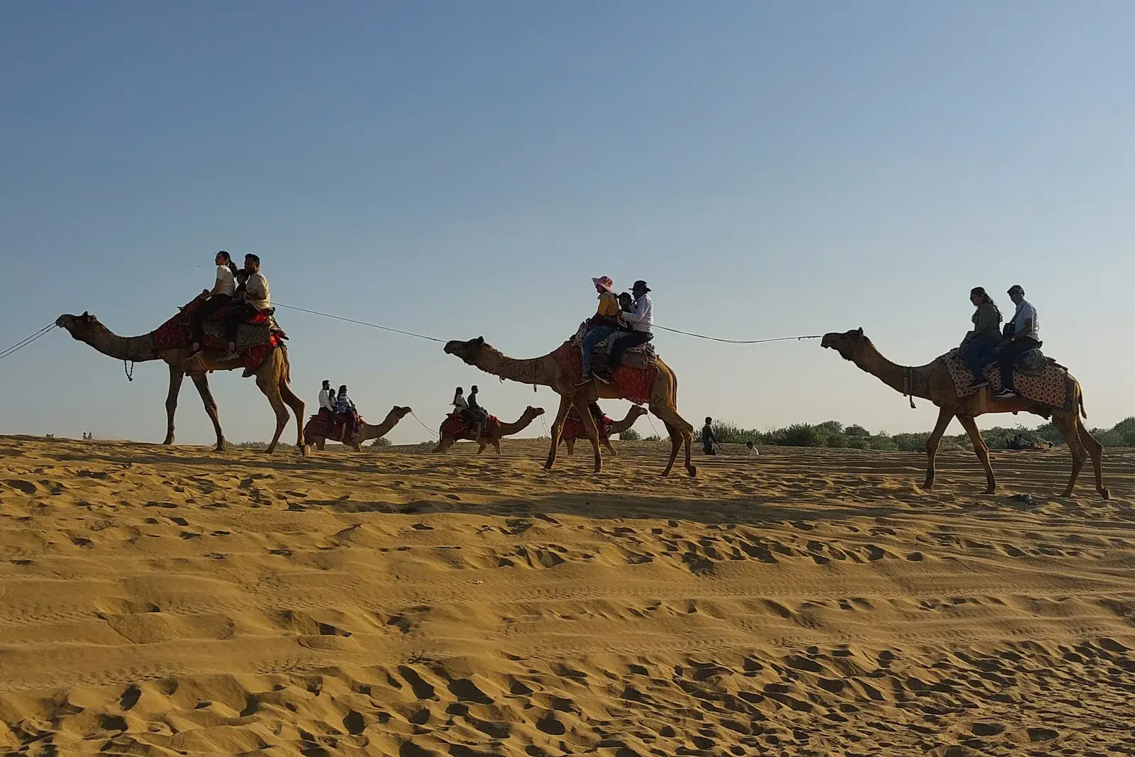 Rajasthan Desert Village Homestay