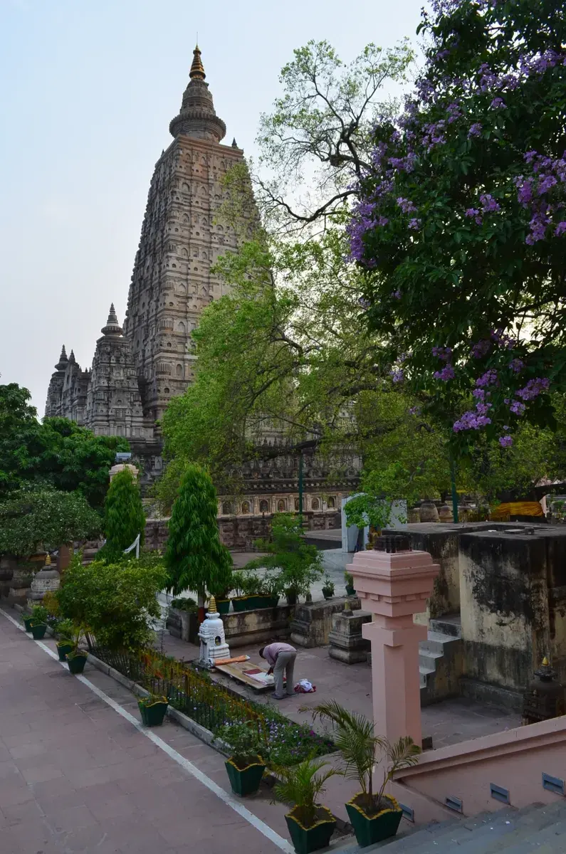 Mahabodhi Temple Meditation Retreat
