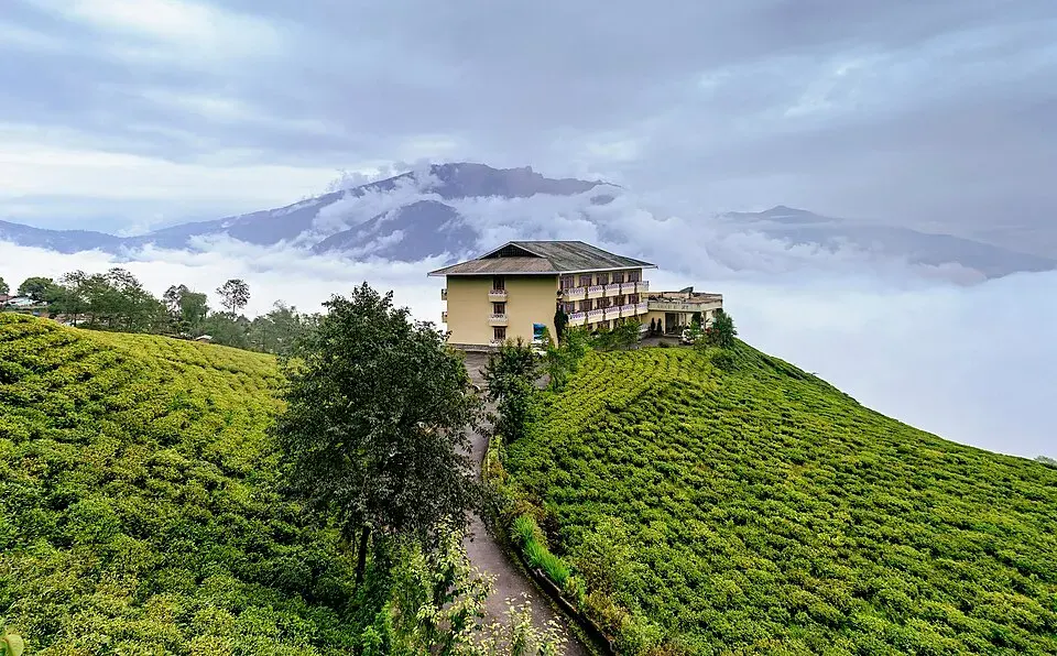 Sikkim Organic Tea & Monastery Tour